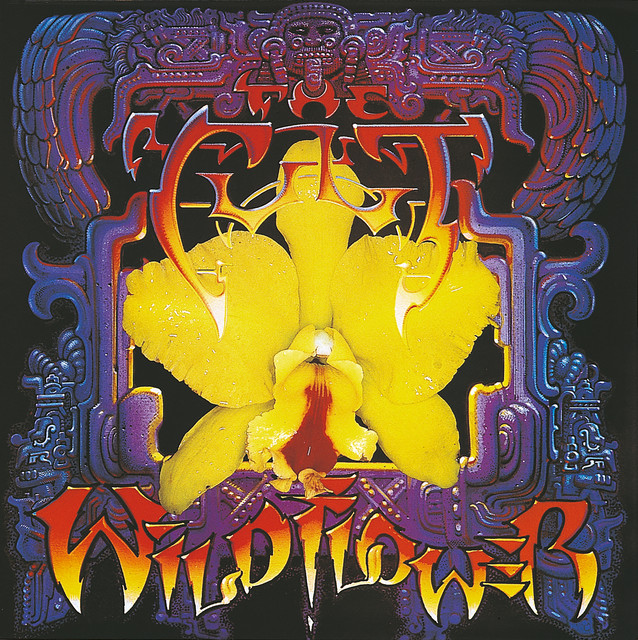 Wild Flower The Cult Album Cover  tab wild flower,  the cult midi files,  wild flower midi files backing tracks,  the cult midi files free,  wild flower midi files piano,  midi files free download with lyrics the cult,  where can i find free midi wild flower,  the cult sheet music,  wild flower piano sheet music,  the cult midi download